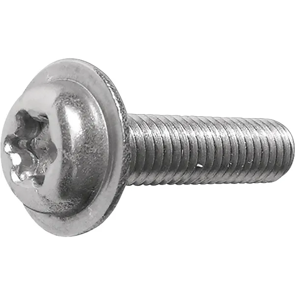 Wetterbest Șurub cap torx 4.8*35 mm 250 buc